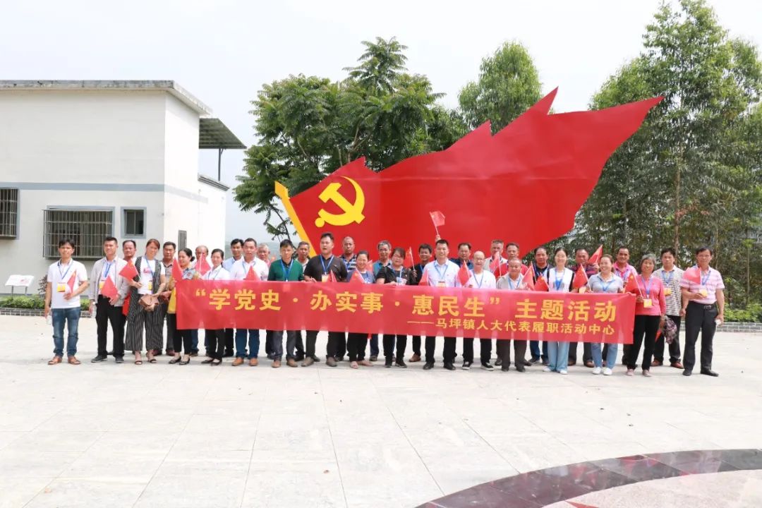 学党史悟思想办实事惠民生马坪镇组织人大代表开展党史学习教育红色之