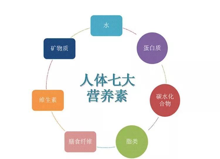 白山发布 七大营养素讲:老年人饮食 蛋白质:老年人体内代谢以分解代谢