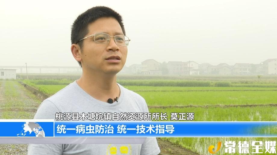 桃源县木塘垸镇仁丰村党支部书记 潘仁广:第一期旱改水,总共改了1800