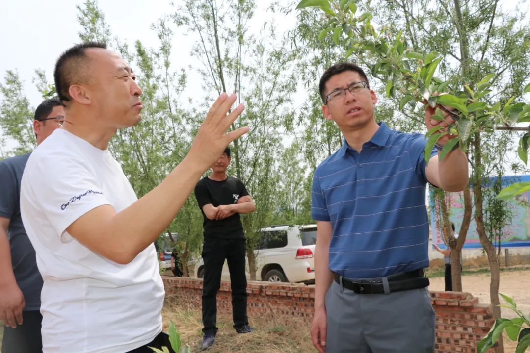 马慧吉先后来到到扣河子镇酒局子村盟犇养殖专业合作