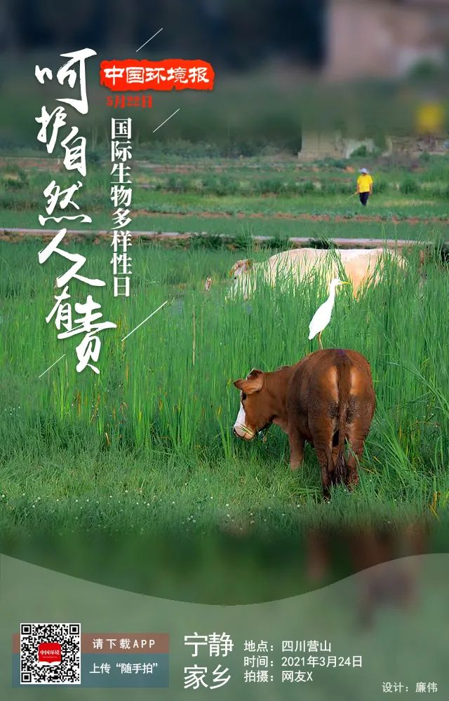 2021年国际生物多样性日|呵护自然人人有责