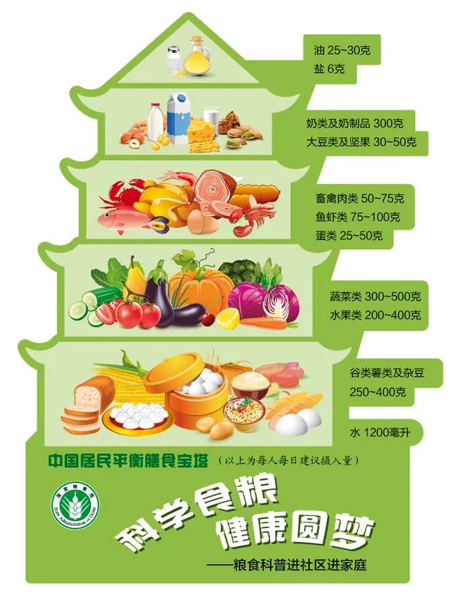 金昌市开展全民营养周暨520中国学生营养日主题宣传活动