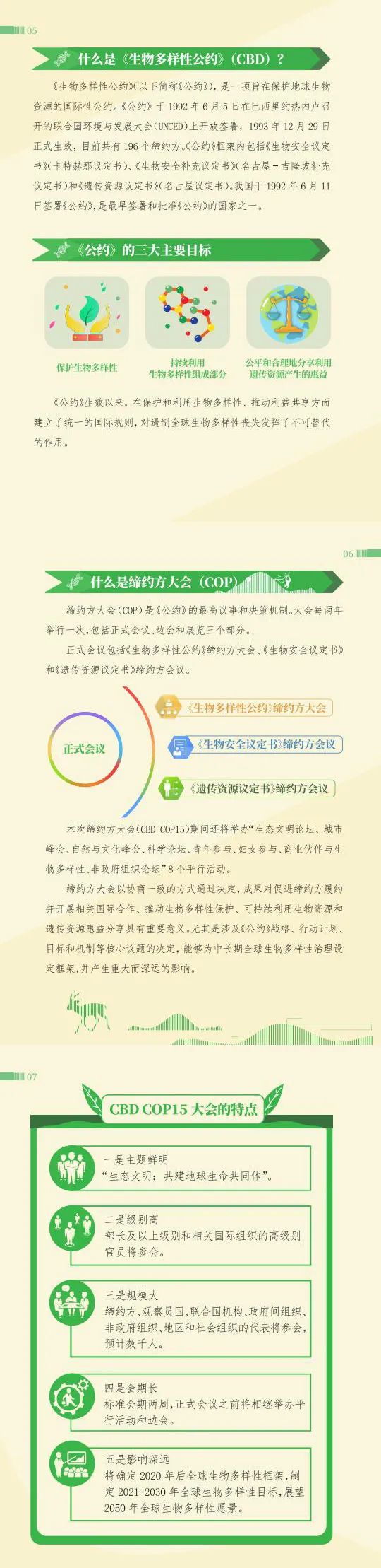 一图读懂联合国生物多样性公约第十五次缔约方大会cbdcop15小百科