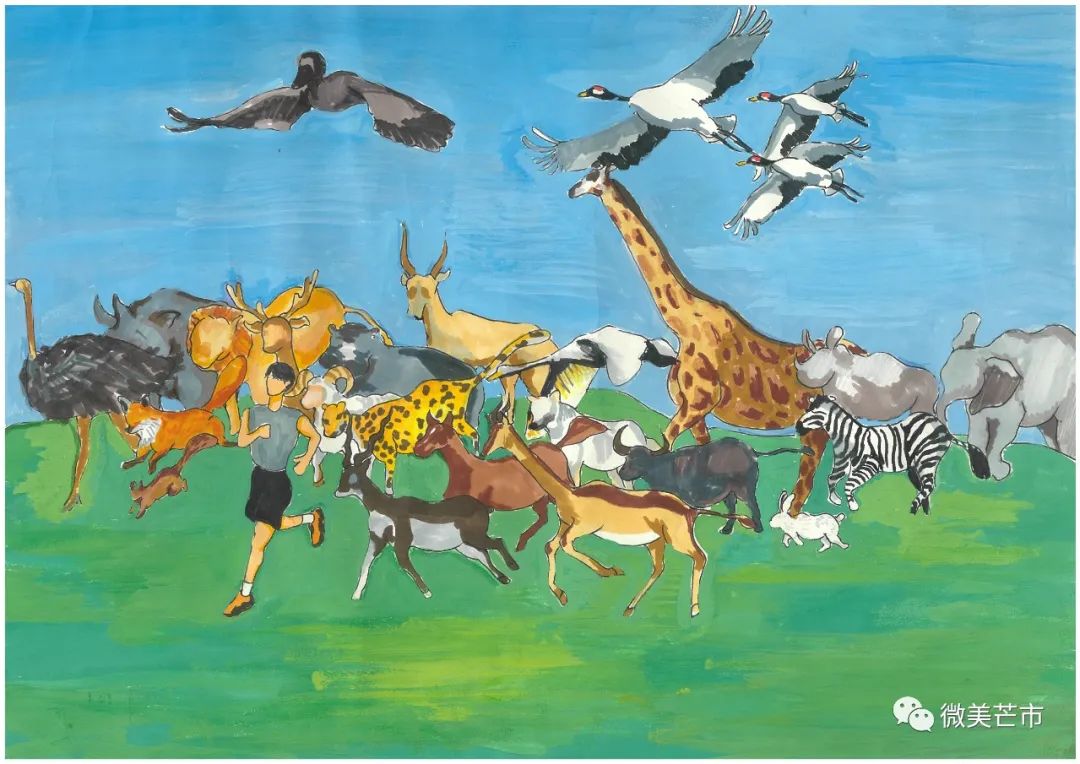 芒市小画家笔下的生物多样性画作超赞