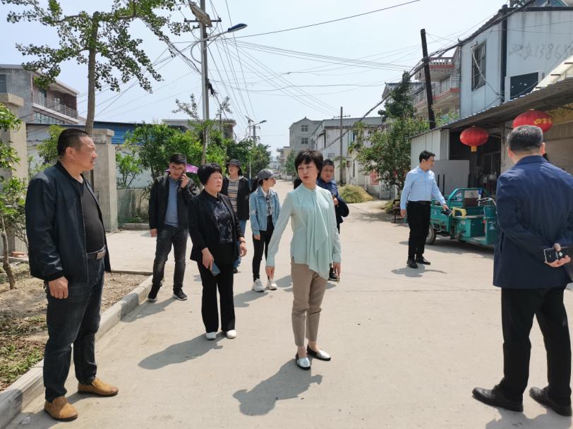 童浩平一行先后来到马城镇草寺村,黄庙村,长青乡冷