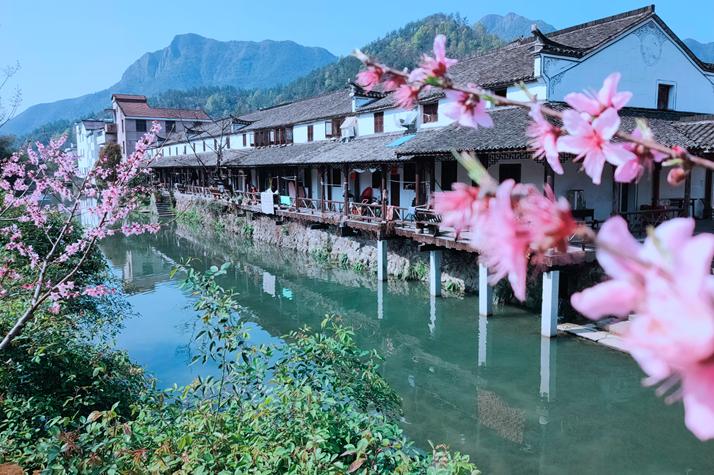 周末去浦江乡村走走 来了就不想走