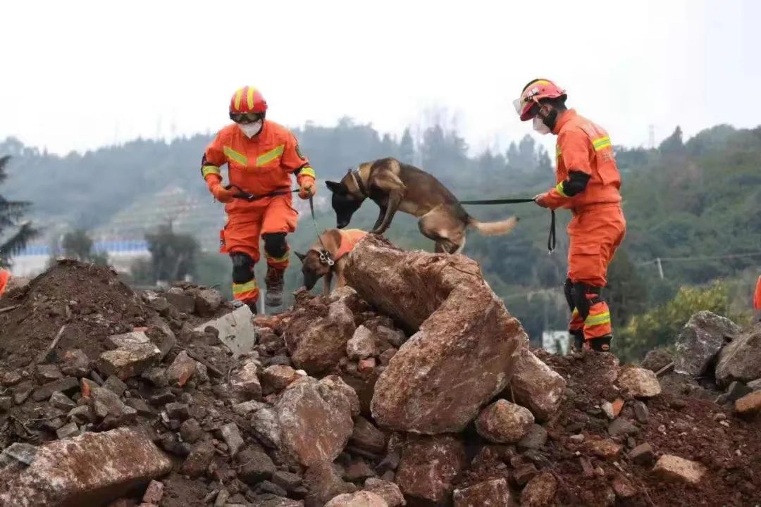 大理漾濞64级地震云南省消防救援总队成功救出遇险群众17人转移1446人