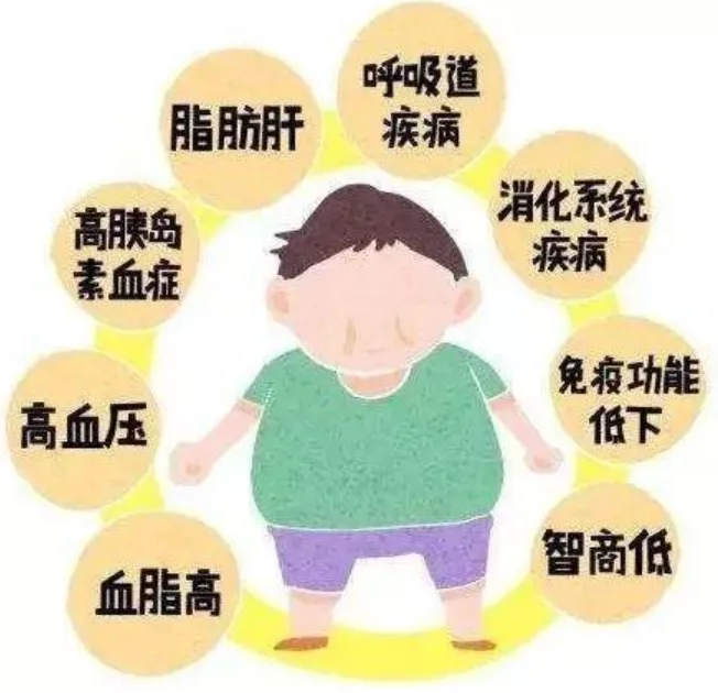 南方医科大学珠江医院内分泌代谢科副主任孙嘉教授表示,科学减重是