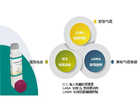 福莫特罗是选择性β2-肾上腺素受体激动剂,具有舒张支气管平滑肌,缓解