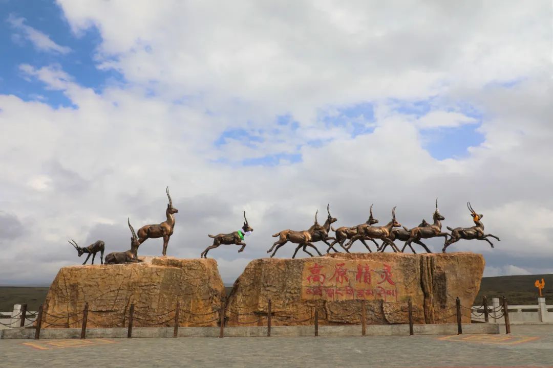 扎西草检查指导合作市景区景点及旅游环线周边环境