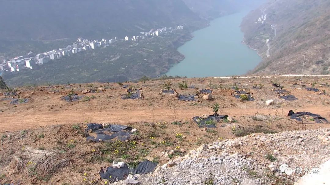 "永善县"十三五"期间实施了乌蒙山国土综合整治项目,分别是(务基)回龙