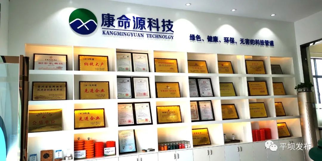 文明康命源贵州科技发展有限公司荣获贵州省科技进步奖一等奖