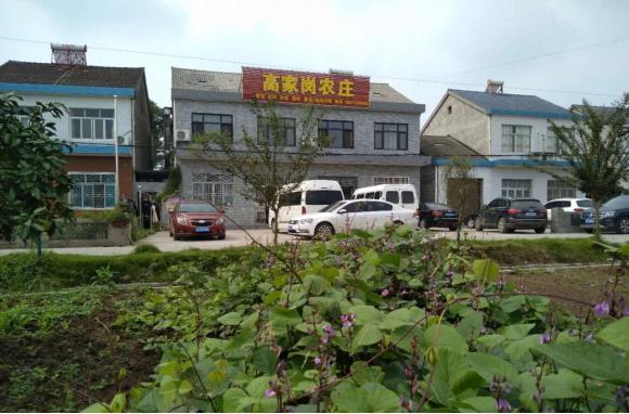 周末去哪玩?松滋这条乡村野趣纯玩之旅,给你不一样的旅行体验