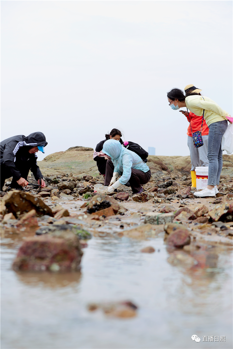 经山历海日照邀你来赶海