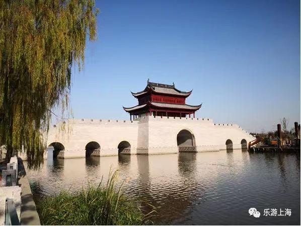 青浦有这么多网红桥,你打过卡吗?