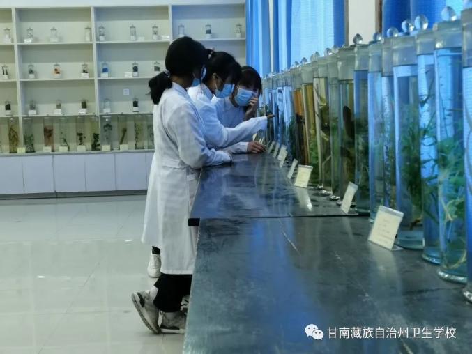 【招生简章】甘南州卫生学校,甘肃中医药大学藏医学院2021年招生简章