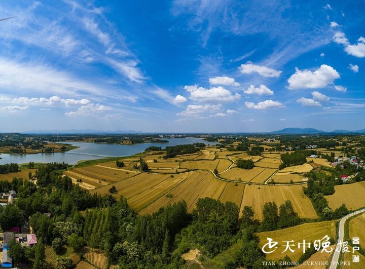 6月3日,这是全媒体记者用无人机航拍的驿城区沙河店镇,老河乡两个