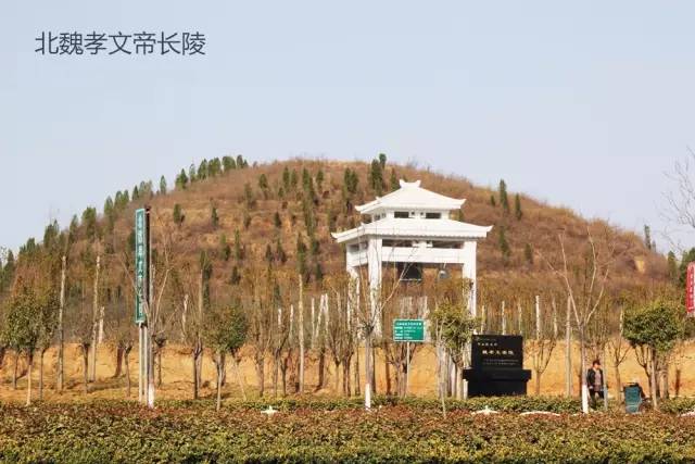 陵墓封土犹如群山连绵,一望无际,孝文帝长陵就是其中之一
