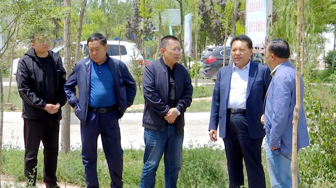 陈维山调研指导中铺镇当前重点工作