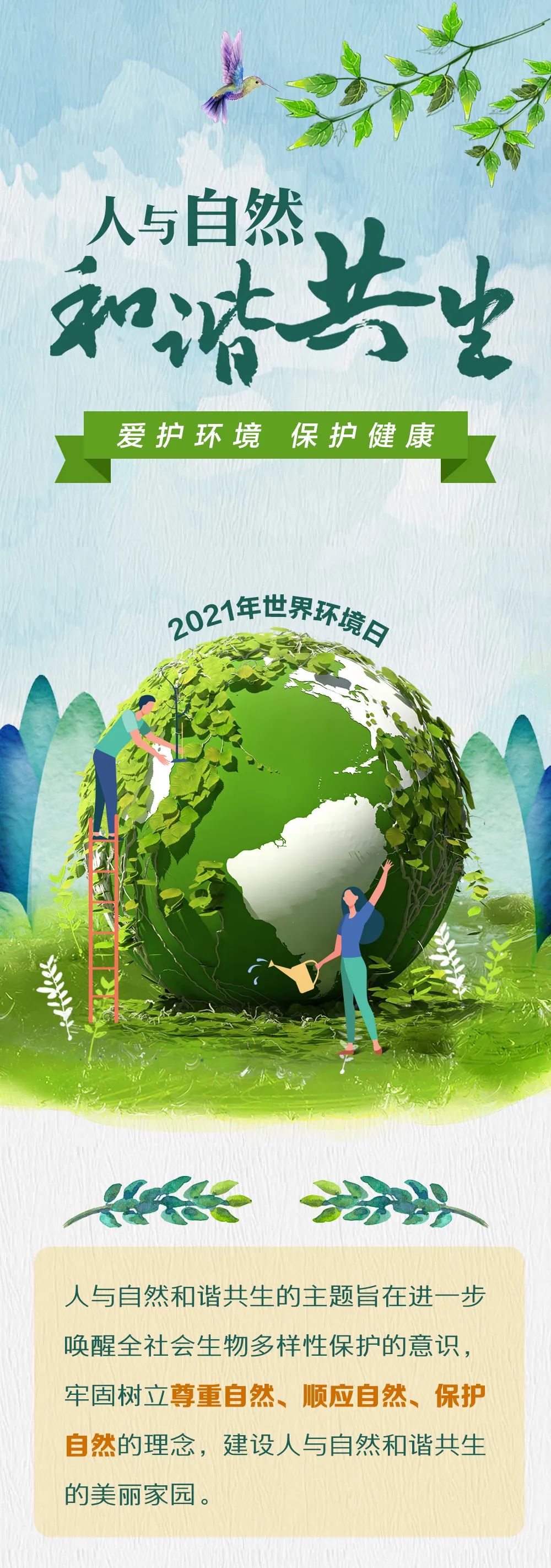 世界环境日爱护环境保护健康人与自然和谐共生