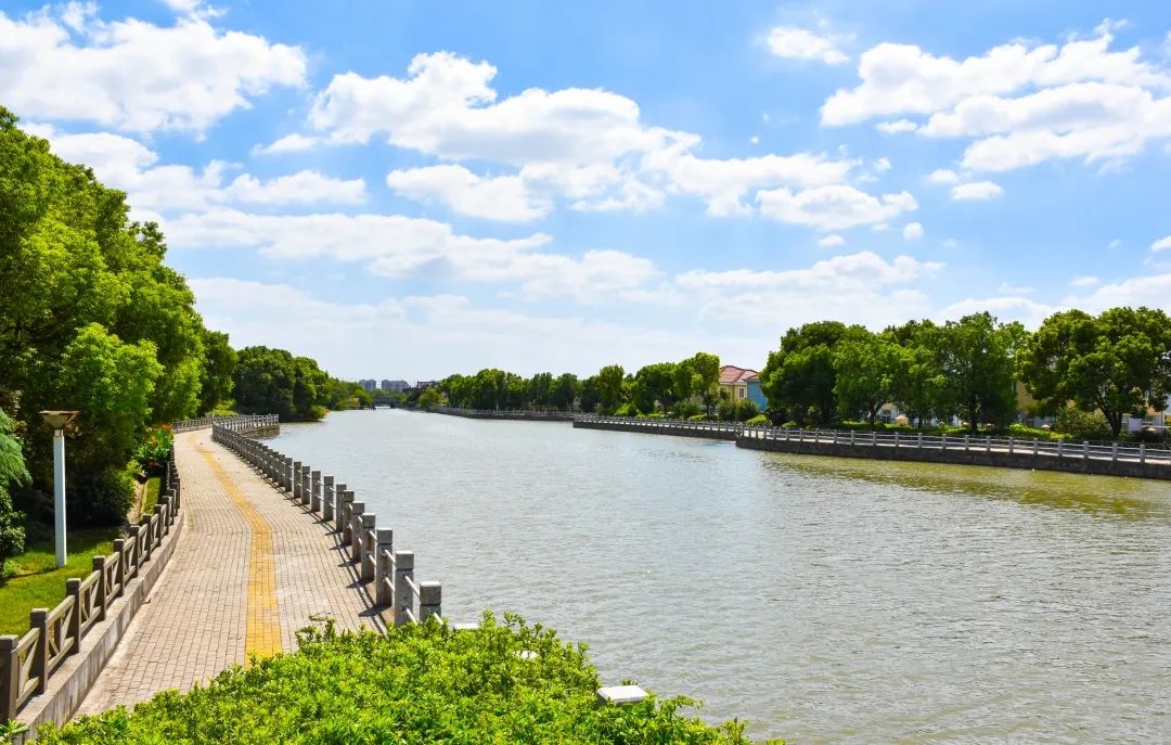 青浦这些小河入选上海最美河道来看在不在你家附近