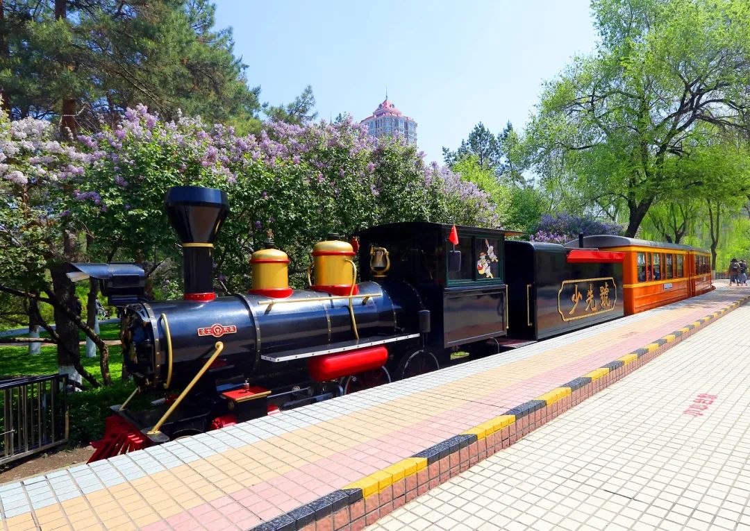 童年记忆还有一列小火车有一座"北京站"在哈尔滨儿童公园内2021-06-07