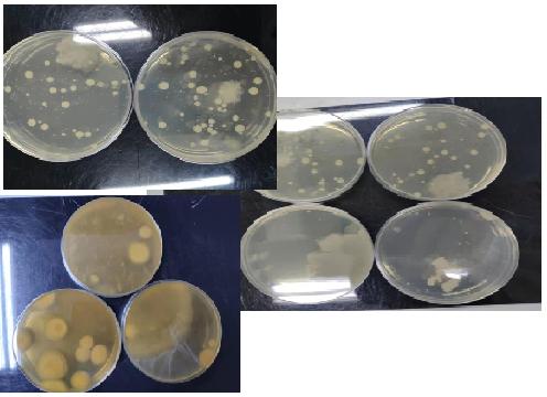 键盘上的微生物到底有多少?