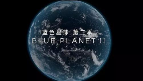 世界海洋日丨bbc神作蓝色星球2海洋如此美丽