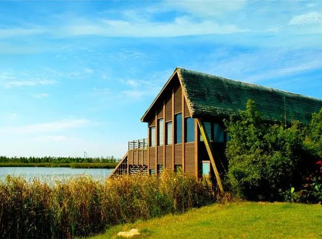 生活在风景中 丨 市容环境"百年百景"崇明篇