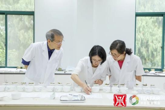 茶王出炉中茶杯鼎承茶王赛获奖名公布