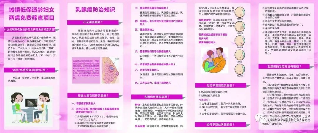 一线为民服务庐江县妇联开展两癌宣传进村居活动