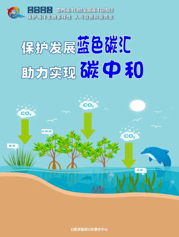 您期待的海洋日宣传海报在这里