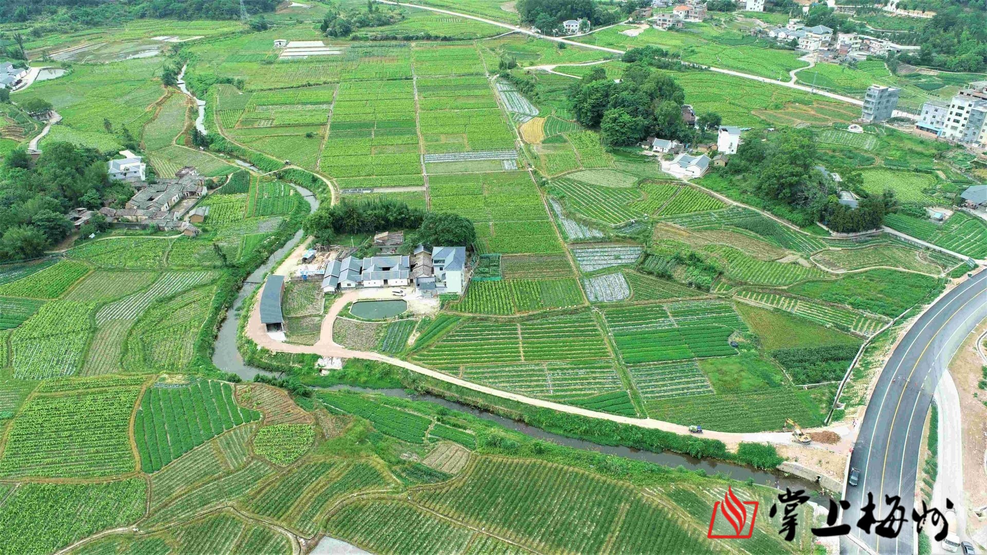仁居镇是平远县烟叶核心种植区.