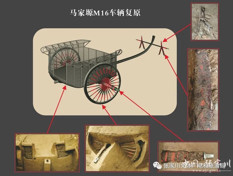 古道印记西戎遗珍一一张家川县马家塬出土战国马车特展亮相甘肃省博物