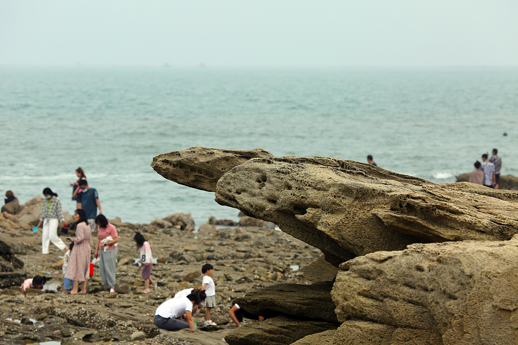 在山海天旅游度假区的任家台海洋公园,游客趁着落潮,纷纷前来赶海拾贝