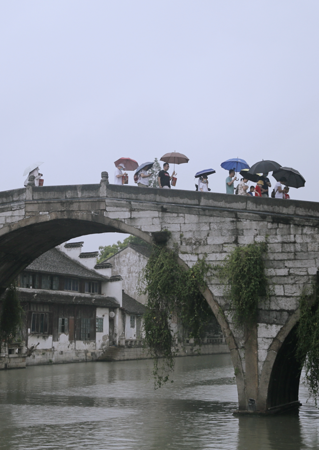 松江老城区的这片建筑这么好看竟让这群人冒雨从市区赶来