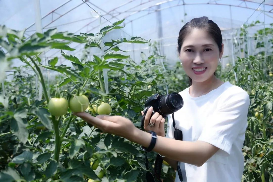 望都好网民张亚超云端助力党校美女教师e初心