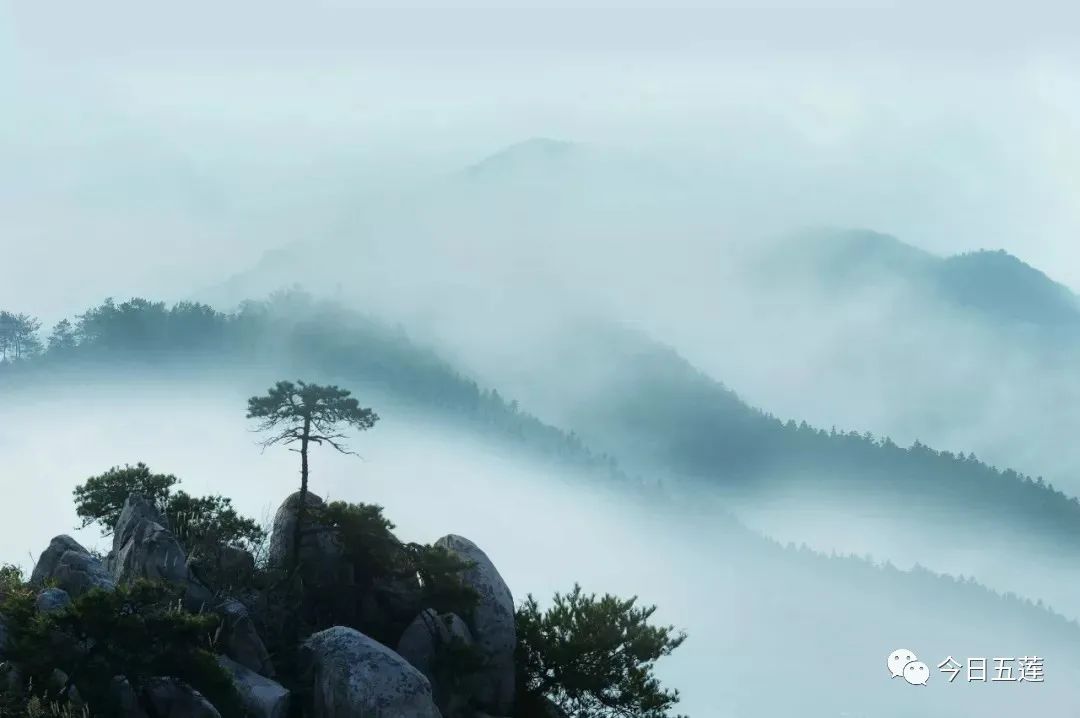 烟雨五莲,这才叫"仙境"!