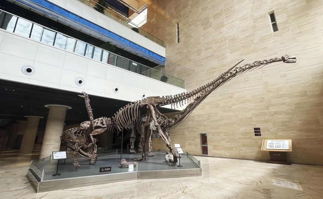 淄博傅山自然地质博物馆今日开馆恐龙奇石珍兽万余件展品等你来看
