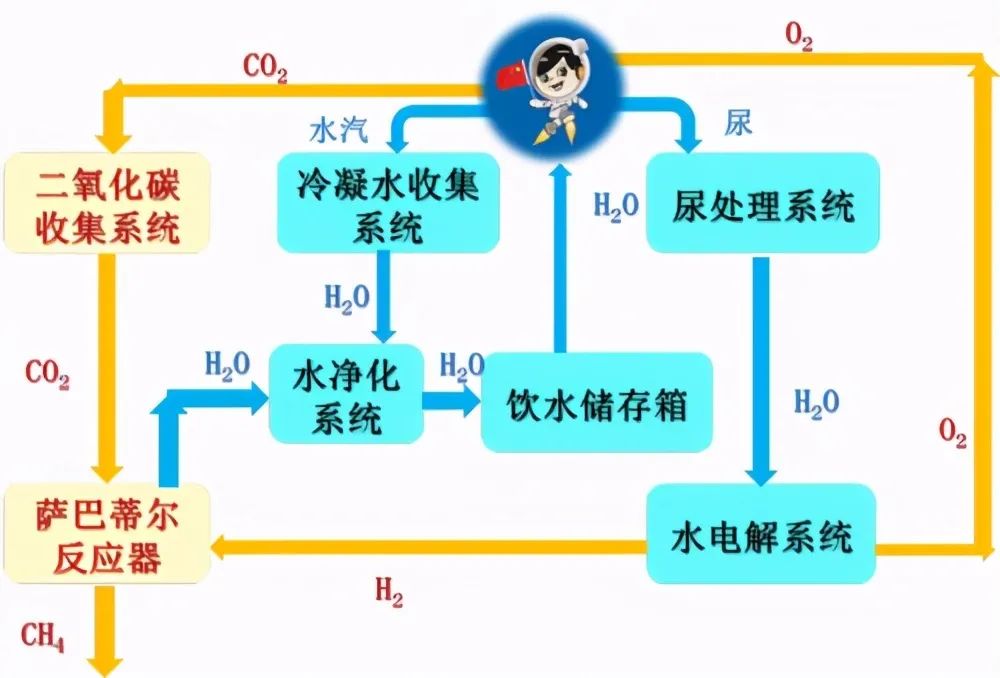 空间站里喝的水哪来天宫尿液要循环利用