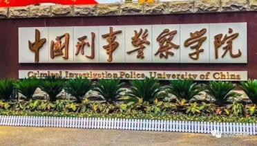 中国刑警学院竞售54只淘汰受训犬:含德牧等,要求不得弃养