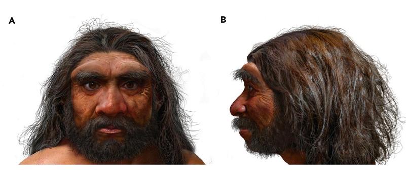来自东北的古人类龙人可能是现代人目前最亲近的亲戚