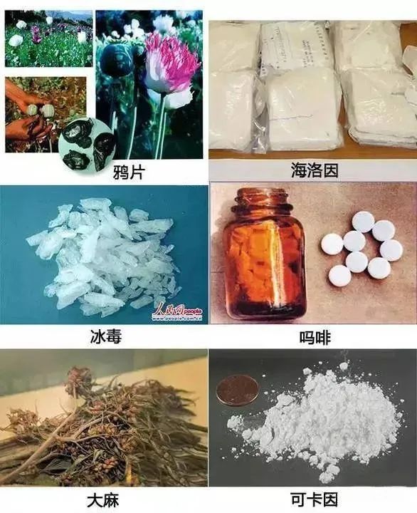 毒品是指鸦片,海洛因,甲基苯丙胺(冰毒,吗啡,大麻,可卡因以及国家