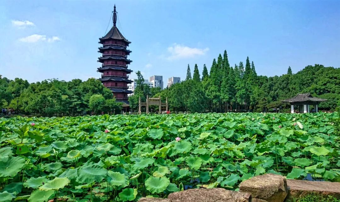 湖州赏荷地图