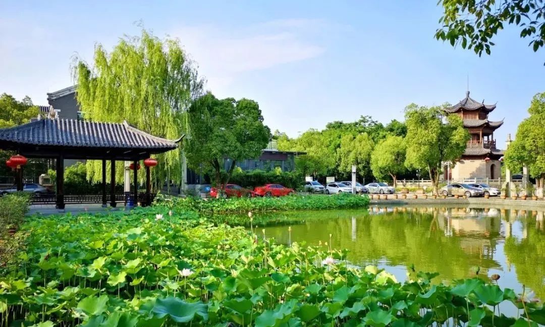 湖州赏荷地图
