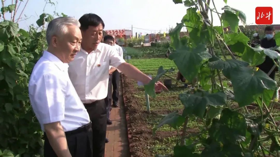 张国清到朝阳市喀左县和朝阳县调研