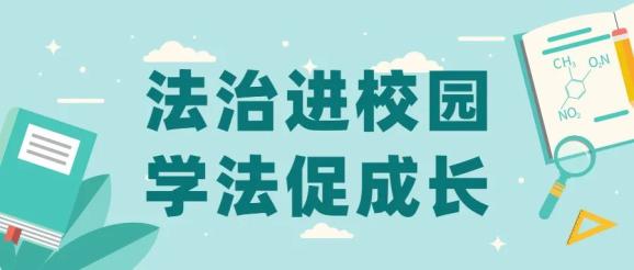 我为群众办实事法治进校园学法促成长