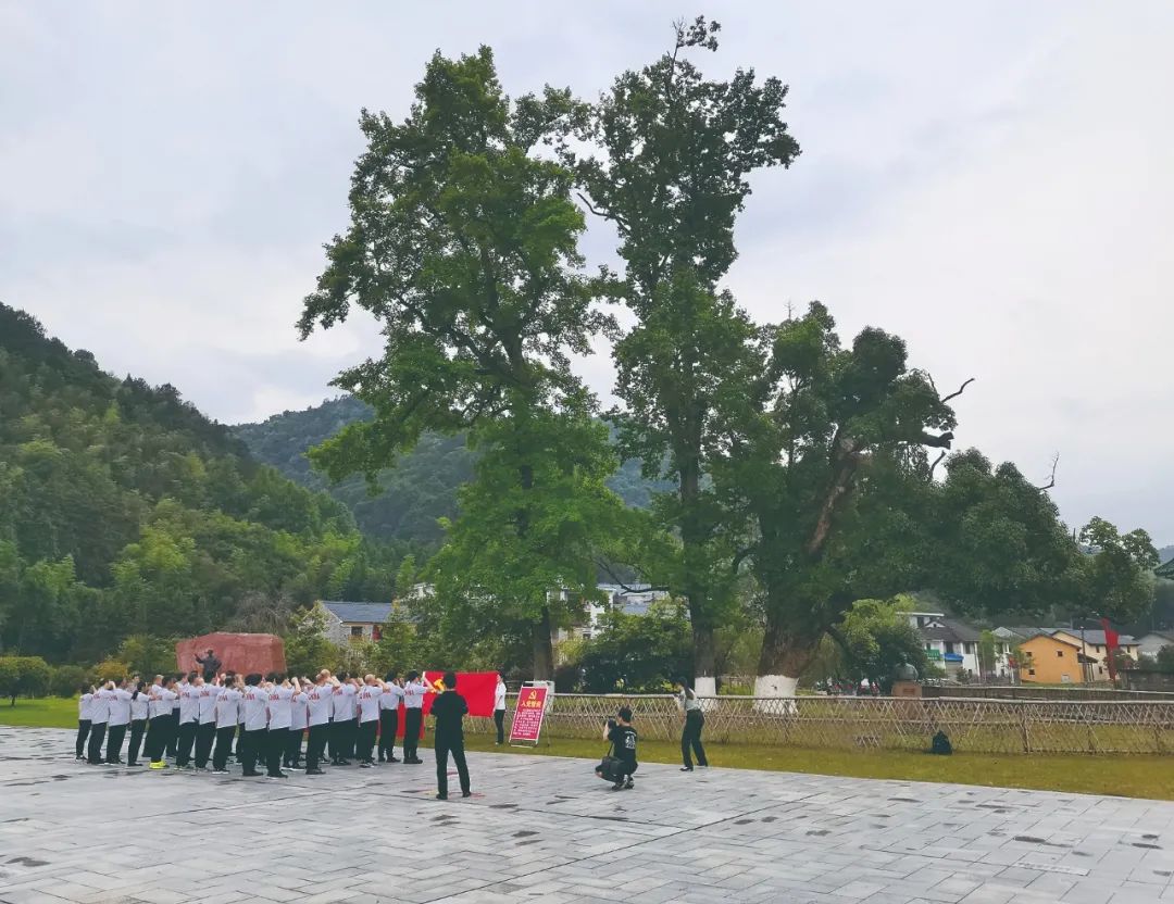 红色印记乡村行丨三湾村:枫树坪的守望与见证