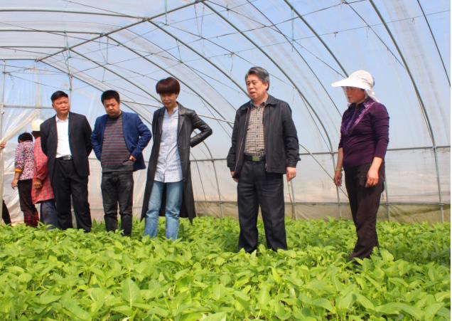科技志愿服务在行动院士专家科普乡村行助推我省农业产业发展