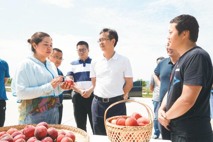 "躬身"书记—记四川省绵阳市安州区委书记姚永红